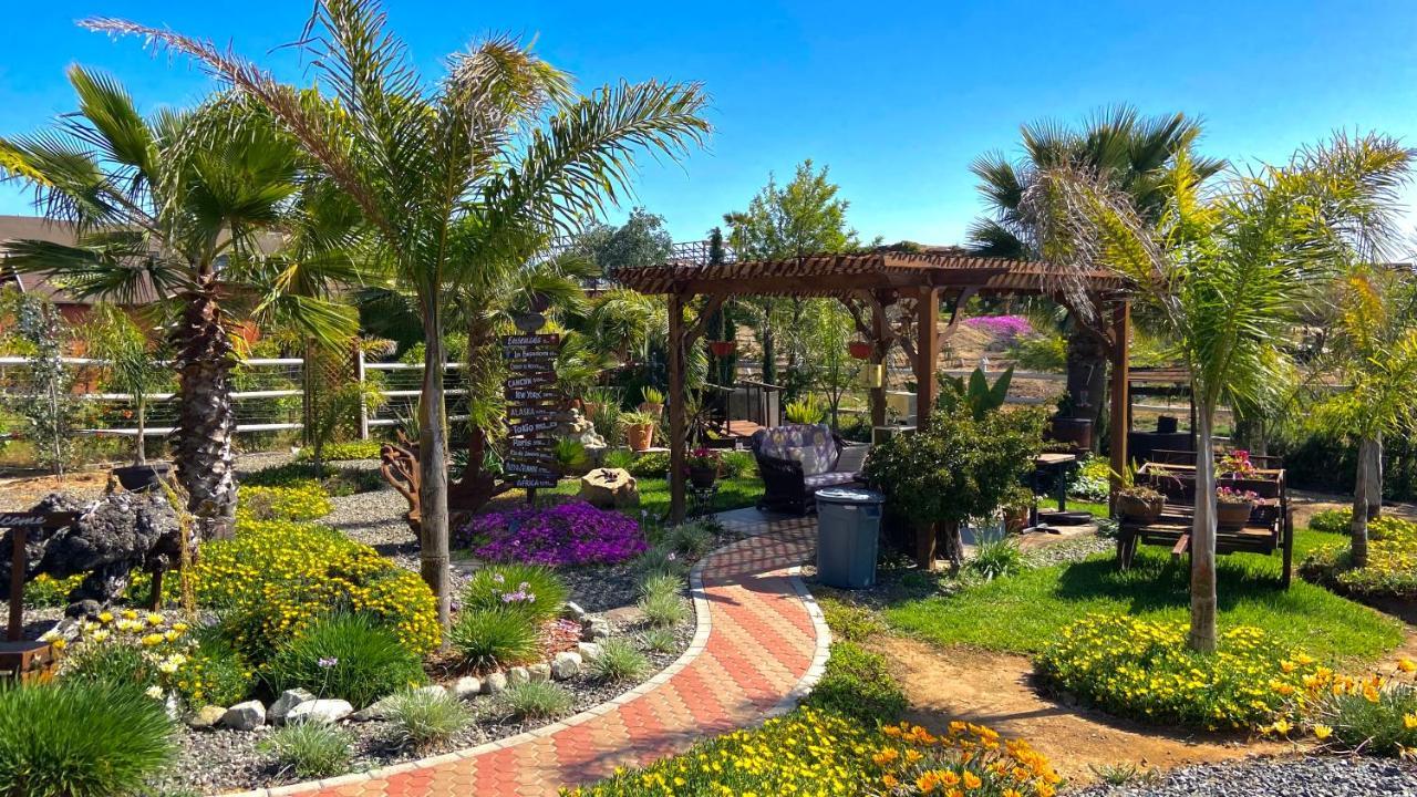 Paraiso Del Valle Ensenada Luaran gambar